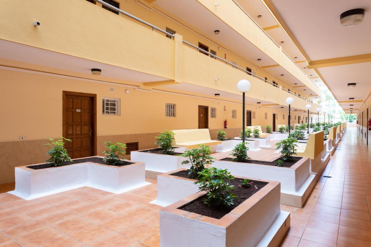 Los Angeles Holiday Home Los Cristianos  Extérieur photo